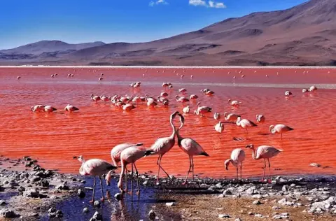 3D2N ATACAMA, UYUNI, ATACAMA PRIVATO