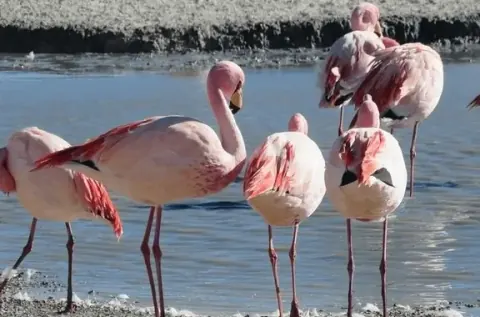 4D3N ATACAMA, SALE DI UYUNI, ATACAMA